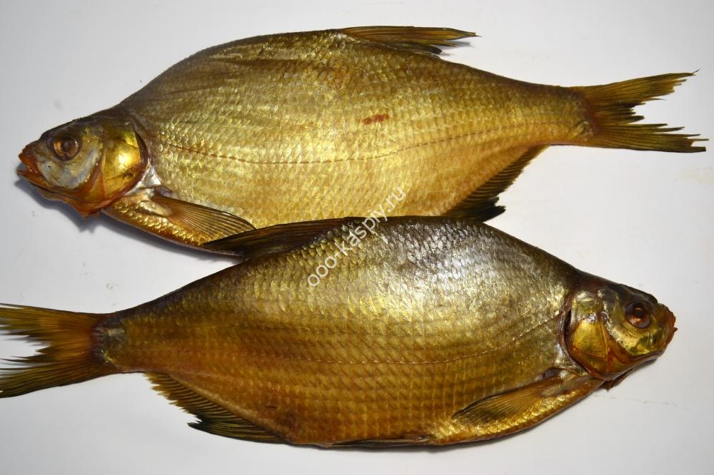 Лещ Цимлянский хк