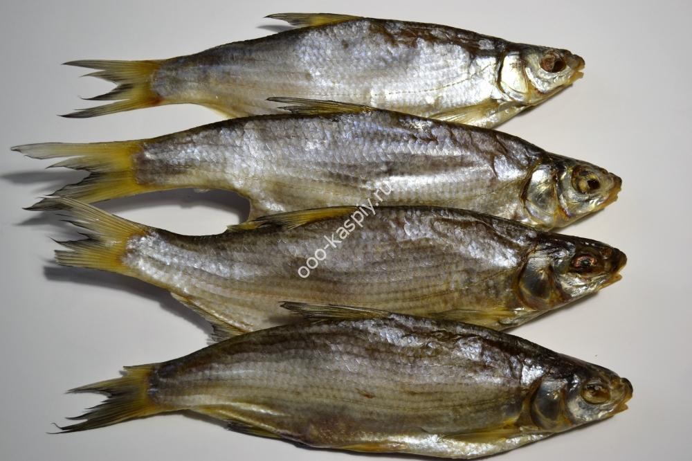 Рыбец Цимлянский (крупный) вял