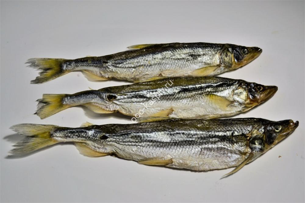 КОРЮШКА с икрой
