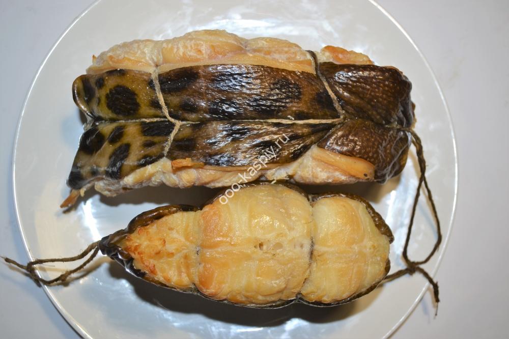 Зубатка гк