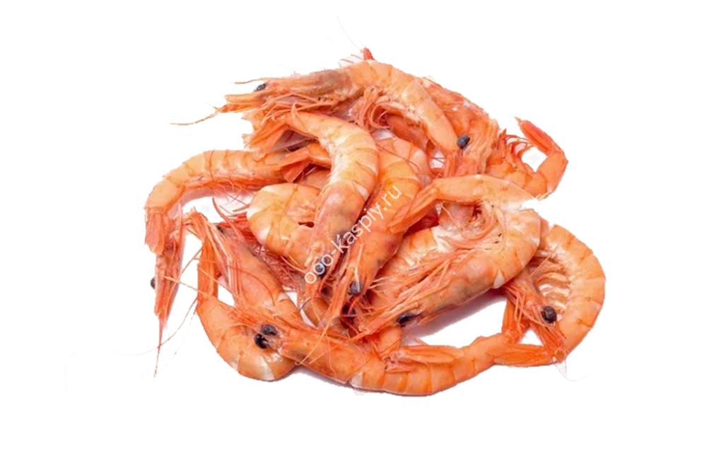 Креветки в/м сухая заморозка ПОЛАР 90/120 (коробка 5кг)